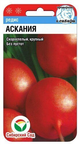25154