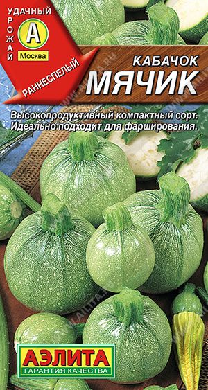 25482