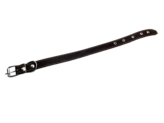 16517