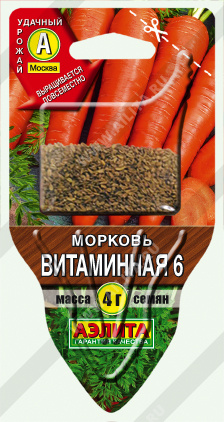 5244