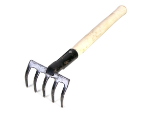 29281