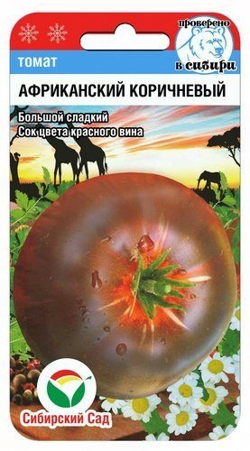 15594