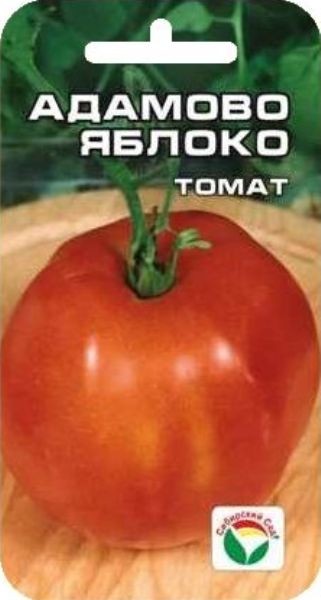 15604
