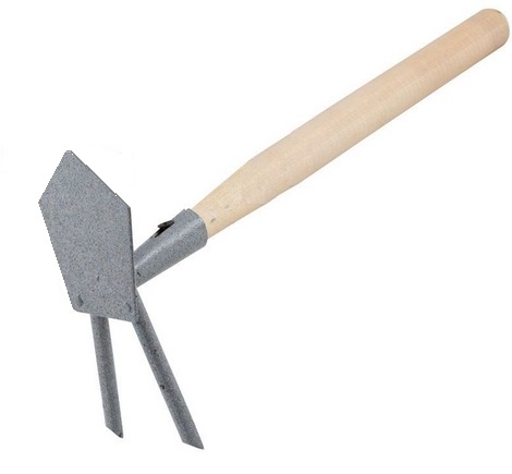 29308