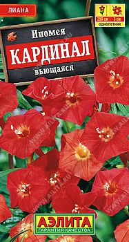 Цветы Ипомея Кардинал вьющаяся ц/п Аэлита *27
