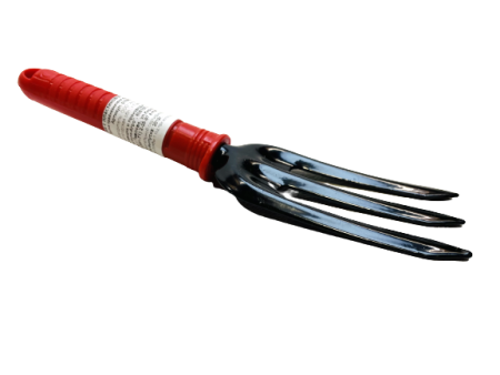 19541 (2)
