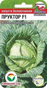 Капуста б/к Пруктор F1 ц/п СибС