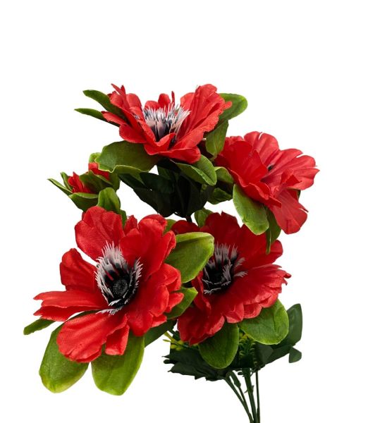 26882-PhotoRoom.png-PhotoRoom_1