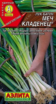 Лук батун Меч кладенец ц/п Аэлита*29