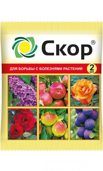 skor-2-ml