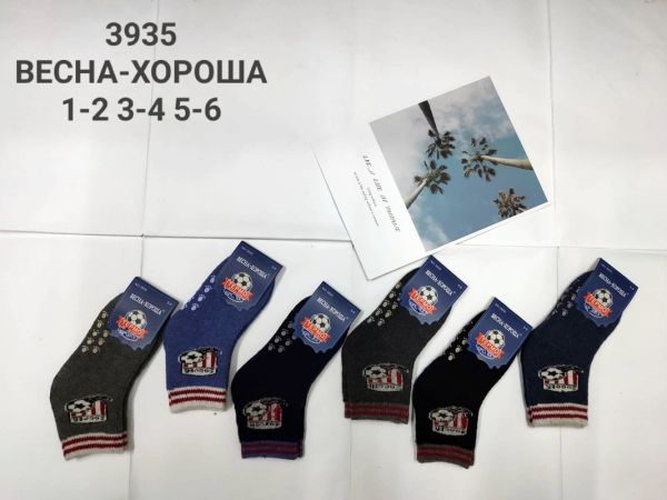 Весна 3935