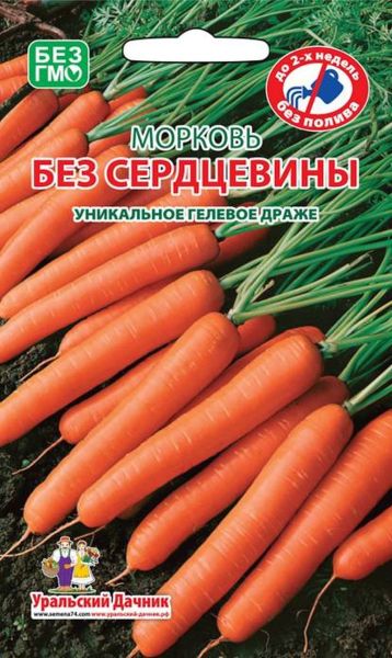 19262