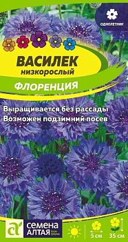 Цветы Василек Флоренция низкорослый/Сем Алт/цп 0,2 гр. (2029)