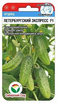 Огурец Петербургский экспресс F1 ц/п 7шт СибС