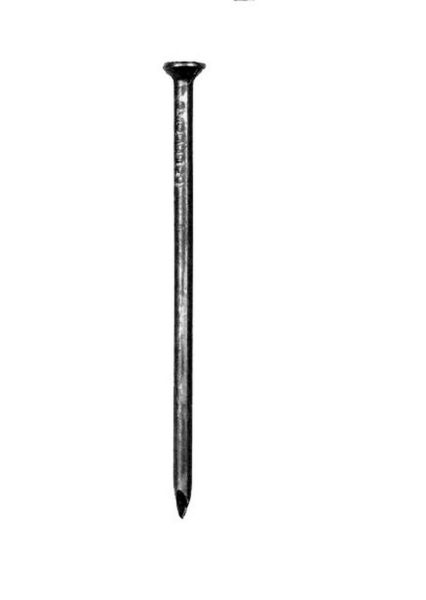 9955