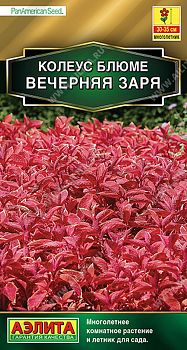 Цветы Колеус блюме Вечерняя заря ц/п Аэлита*28