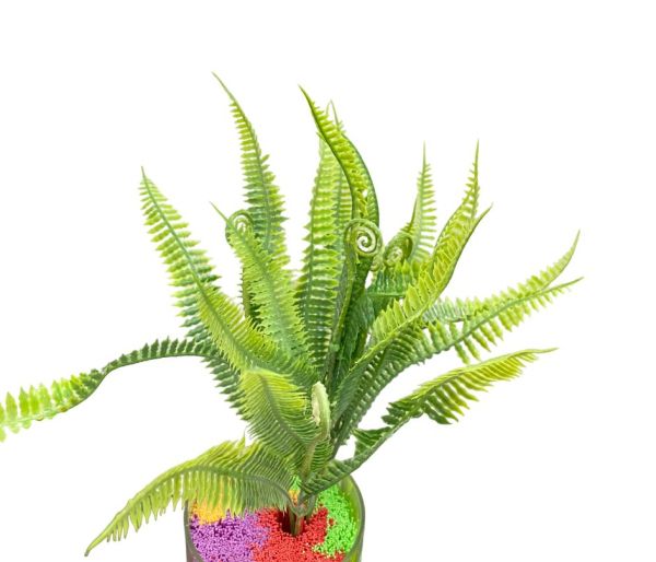 26887-PhotoRoom.png-PhotoRoom_1