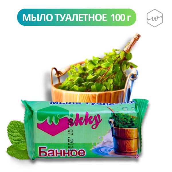 банное100