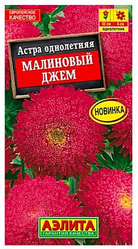 Цветы Астра Малиновый джем ц\п Аэлита*27