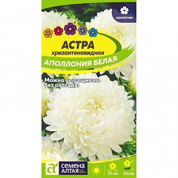 Цветы Астра Аполлония Белая/Сем Алт/цп 0,2 гр. (2028)