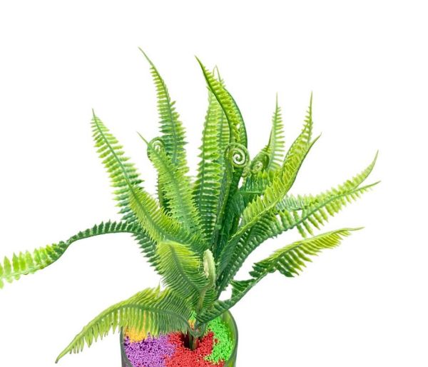 26887-PhotoRoom.png-PhotoRoom_1