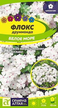 Цветы Флокс Белое Море друммонда/Сем Алт/цп 0,1 гр. (2026 / 21760)