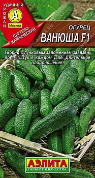 Огурец Ванюша F1 ц/п Аэлита*28