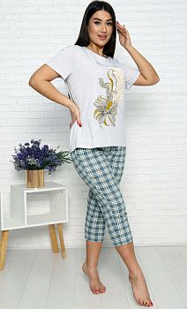 Костюм ДАРЬЯ ТК-4087 Иваново(футболка+бриджи) р.50*