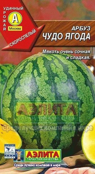 00018133