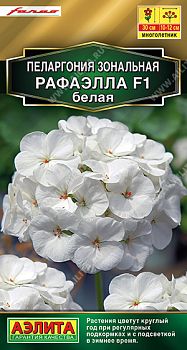 Цветы Пеларгония Рафаэлла F1 белая ц/п  5шт Аэлита *28