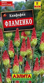 Цветы Книфофия Ягодная фламенко ц/п Аэлита *29