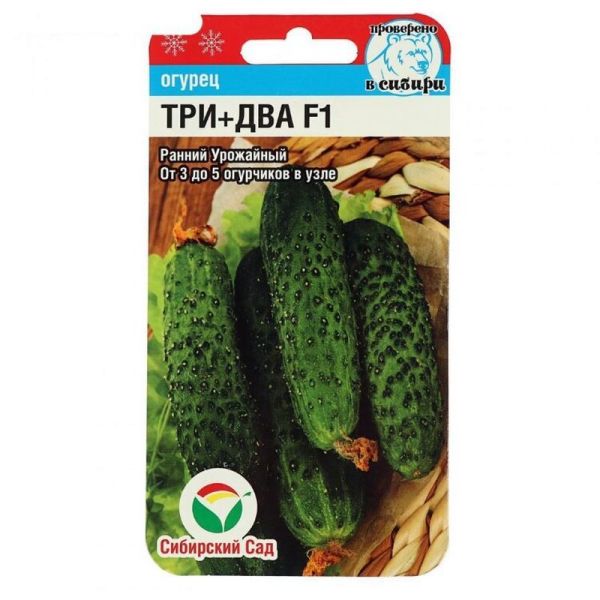 15675