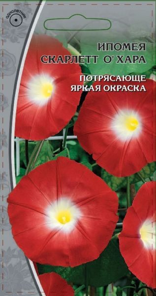 2293a7f4d2e3bc7c07ee872cd175cabd