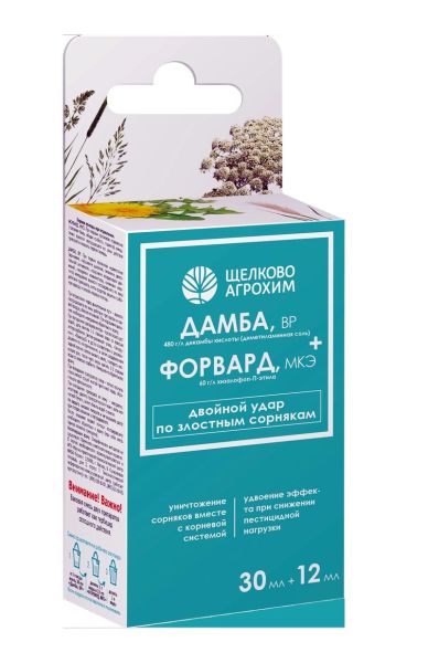 Дамба+Форвард_1