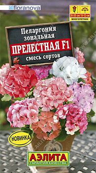 Цветы Пеларгония Прелестная F1, смесь сортов ц/п Аэлита *27
