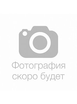 Базилик Греческий овощной ц/п  Аэлита*28
