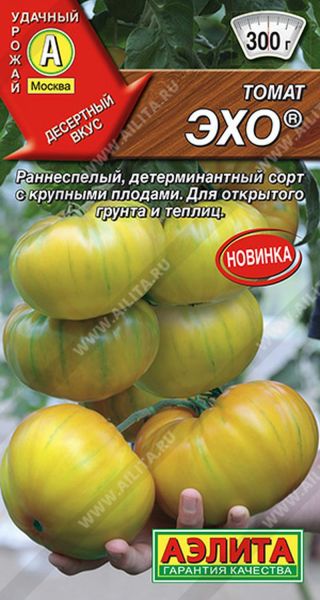 00-0035595