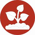 Параньгинское торфопредприятие Параньгинское торфопредприятие