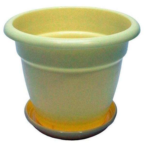00008081-PhotoRoom.png-PhotoRoom