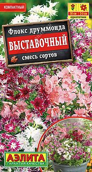Цветы Флокс Выставочный, смесь ц/п Аэлита*28