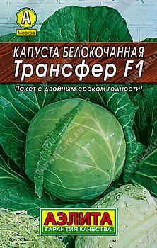 Капуста б/к Трансфер F1 Лидер  Аэлита*29