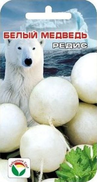 15656