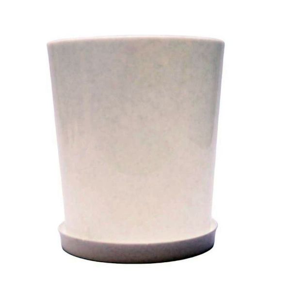 00007181-PhotoRoom.png-PhotoRoom