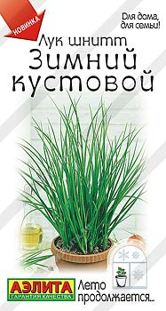 Лук шнитт Зимний кустовой ц/п Аэлита*28