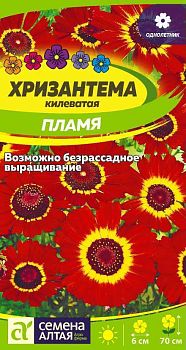 Цветы Хризантема Пламя килеватая/Сем Алт/цп 0,1 гр. (2029)