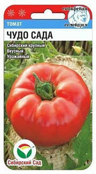 Томат Чудо сада ц/п 20шт СибС Ср