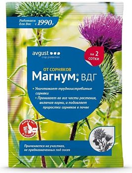 Магнум 2г 1/200 Август для уничтожения борщевика и других злостных сорняков на участках