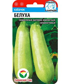 Кабачок Белуха ц/п 5шт СибС