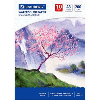 Папка для акварели А3 10л Сакура 200г/м2 297*420мм
