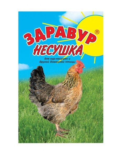 29359